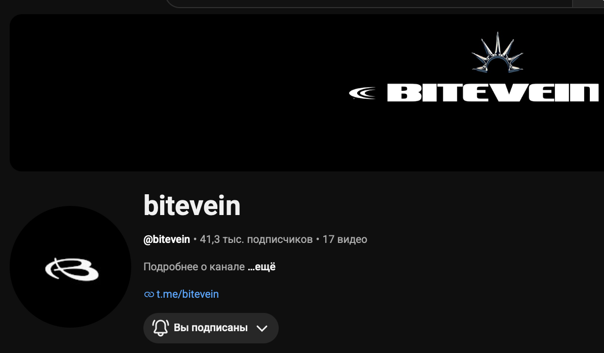 Превью кейса Bitevein